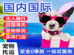 徐州机场邮寄国际宠物托运 【国